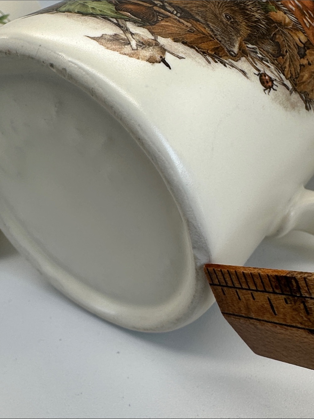 Woodland Animal Ceramic Mugs Set - Badger & Hedgehog 🐌🦡🦔🌿 - Picture 7 of 7